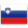 Slovenia country flag